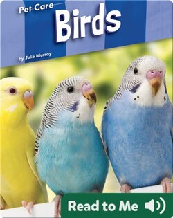 Pet Care: Birds