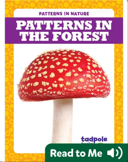 Patterns in the Forest