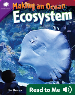 Smithsonian Readers: Making an Ocean Ecosystem