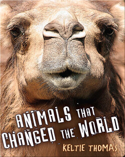 Animals That Changed the World