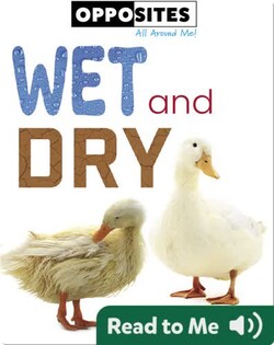 Opposites: Wet and Dry