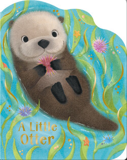 A Little Otter