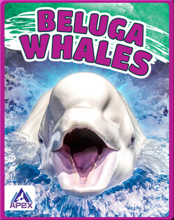 Giants of the Sea: Beluga Whales