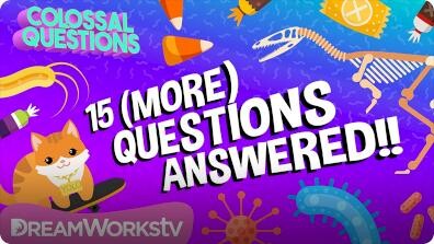 Colossal Questions: 15 (More) Questions Answered!