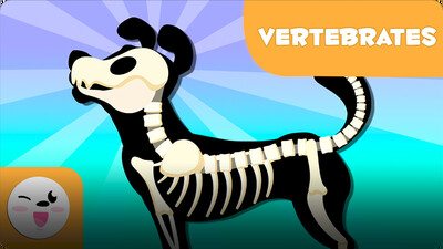 Smile and Learn Animals: Vertebrates (Introduction)