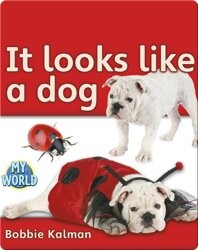 It Looks Like a Dog
