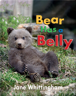 Big, Little Concepts: Bear Has a Belly