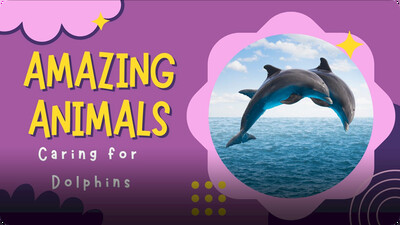 Amazing Animals: Caring for Dolphins