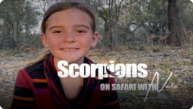 On Safari with Nala: Scorpions