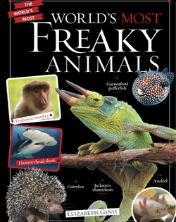 The World's Most: World's Most Freaky Animals