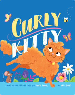 Curly Kitty