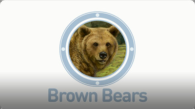 Amazing Animals: Brown Bears