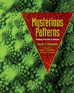 Mysterious Patterns