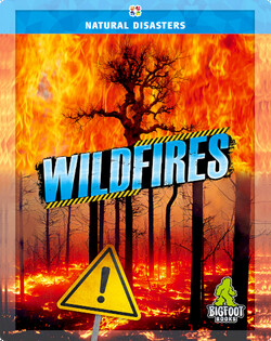 Wildfires
