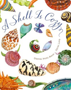 A Shell Is Cozy