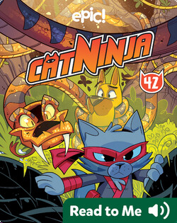 Cat Ninja Book 42: A Visit to the Vet