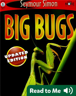 Big Bugs