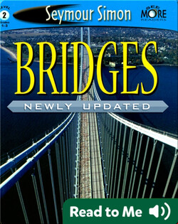 Bridges