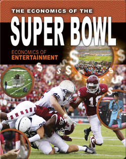 The Economics of the Super Bowl