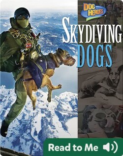 Skydiving Dogs
