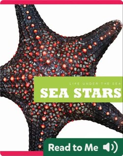 Sea Stars