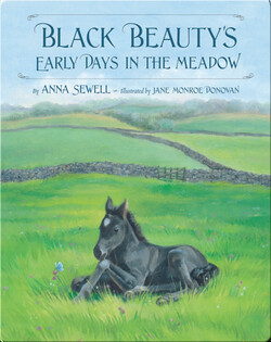 Black Beauty's Early Days in the Meadow