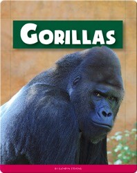 Gorillas
