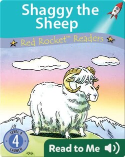 Shaggy the Sheep