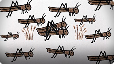 The Great American Locust Plague