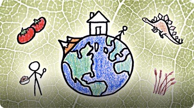 MinuteEarth: The Story of Our Planet