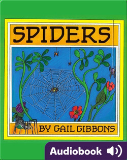 Spiders