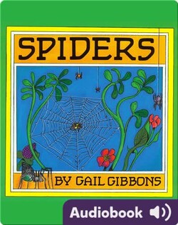 Spiders