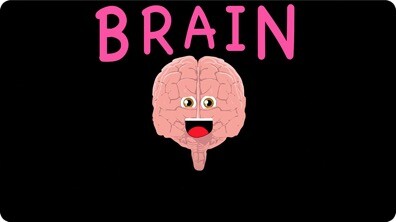The Human Body for Kids / Brain Song for Kids