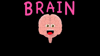 The Human Body for Kids / Brain Song for Kids