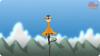Spider Monkey Song