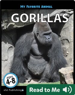 My Favorite Animal: Gorillas
