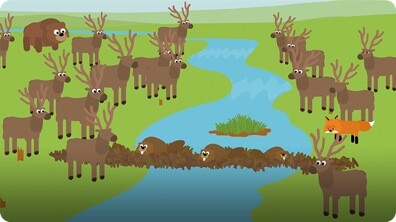 Why Should Humans Care About Biodiversity Loss?