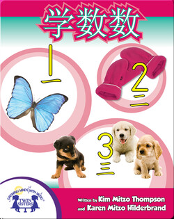 学数数