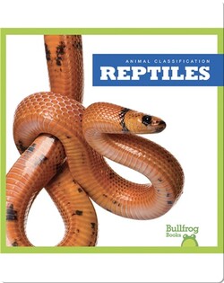 Animal Classification: Reptiles