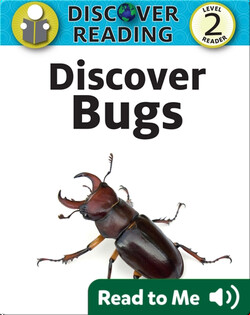 Discover Bugs