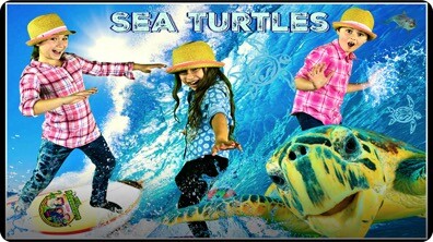 Sea Turtle Adventure! All About Sea Turtles!