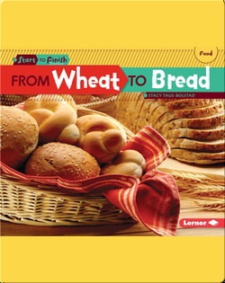 From Wheat to Bread