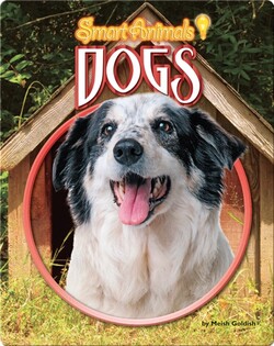 Dogs