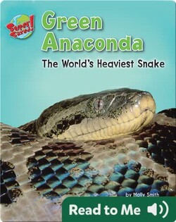 Green Anaconda: The World's Heaviest Snake