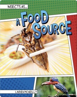 Insects as a Food Source