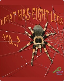 What Has Eight Legs And… ?