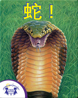 蛇