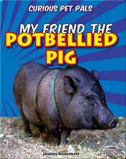 My Friend the Potbellied Pig
