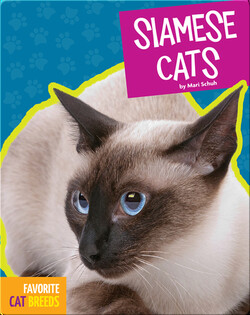 Siamese Cats