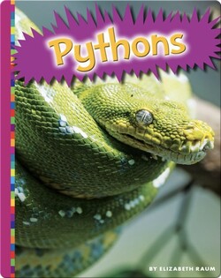 Pythons